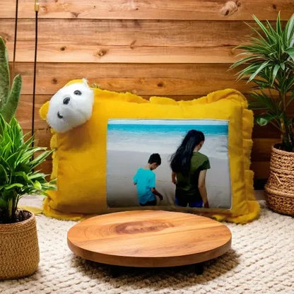 Teddy Face Pillow