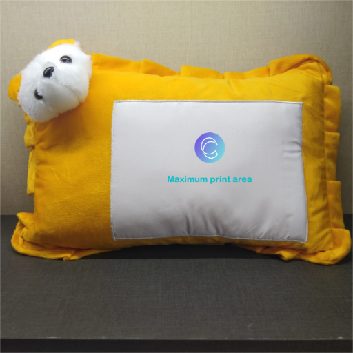 Teddy Face Pillow